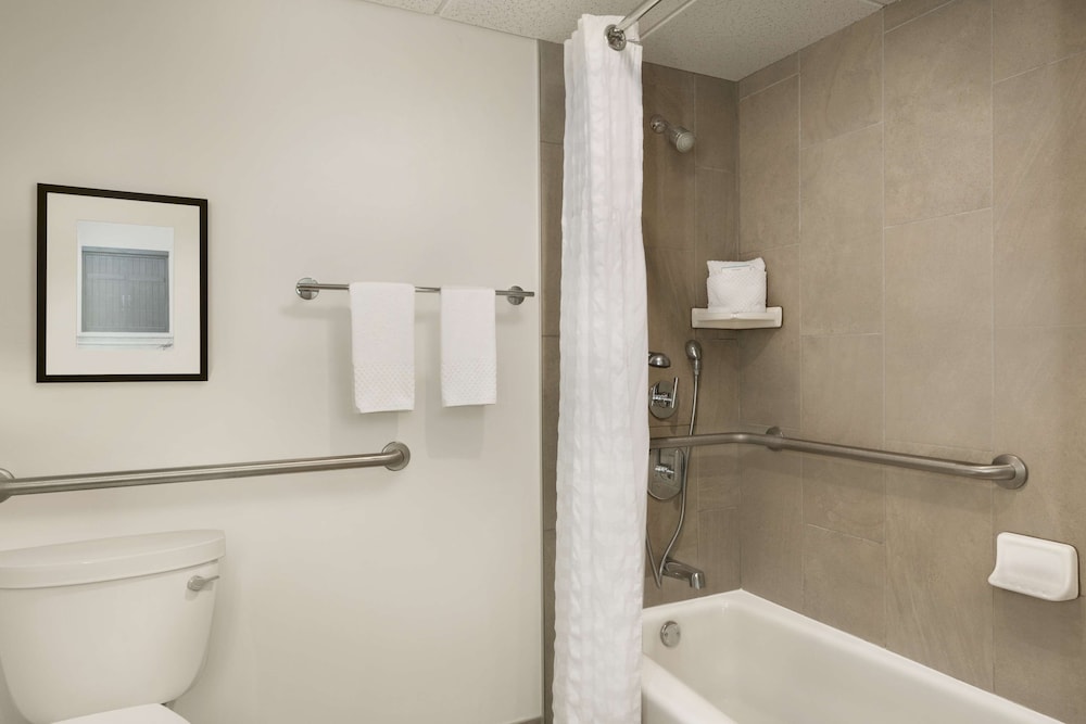 Suite, Accessible, Non Smoking - Photo 4