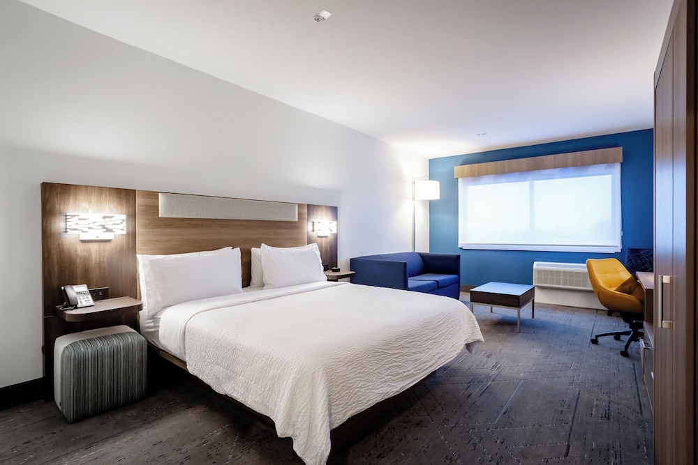 Suite, 1 King Bed with Sofa bed