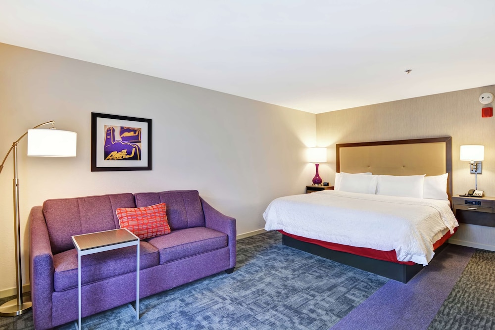 Room, 1 King Bed with Sofa bed, Non Smoking, Refrigerator & Microwave