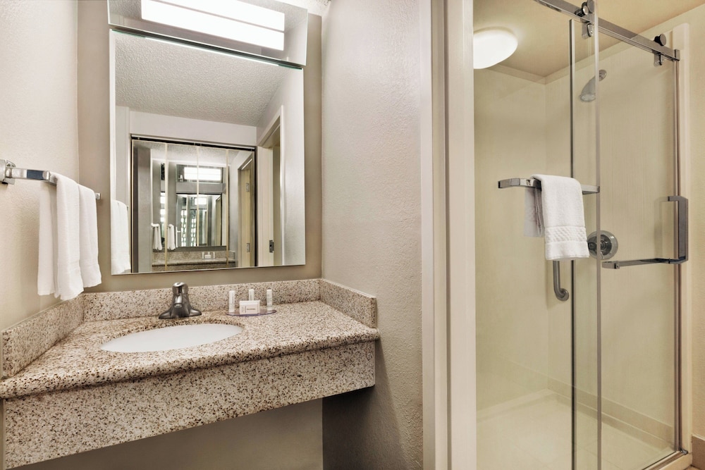 Room, 1 King Bed (Mobility Accessible, Roll-in Shower) - Photo 4