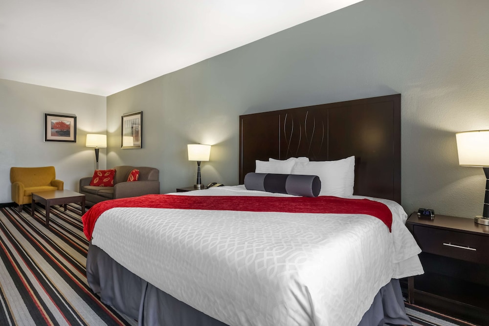 Standard Room, 1 King Bed, Non Smoking, Refrigerator & Microwave photo 1