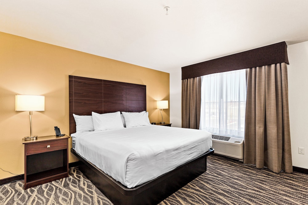 Suite, 1 King Bed with Sofa bed, Non Smoking (Stay Suite Audible/Visual Alert) - Photo 2