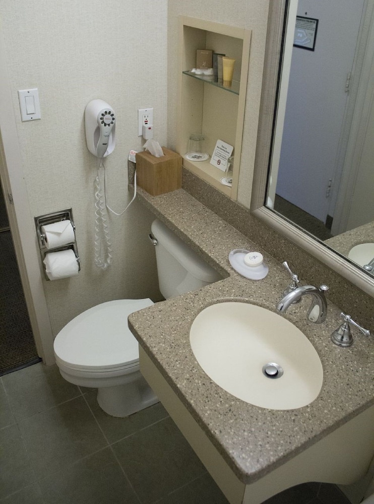 Premier Room, 1 King Bed - Photo 3