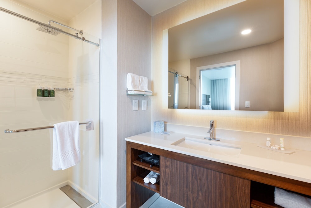 Suite, 1 Bedroom - Photo 6