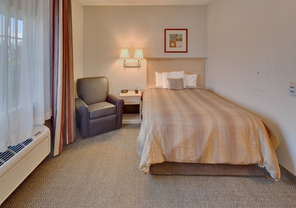 Studio Suite, 1 Queen Bed (Shower) - Photo 3