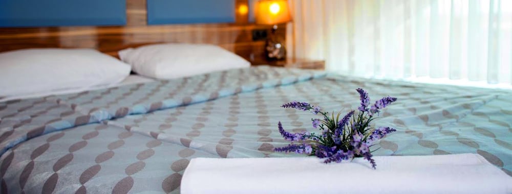 Suite photo 3