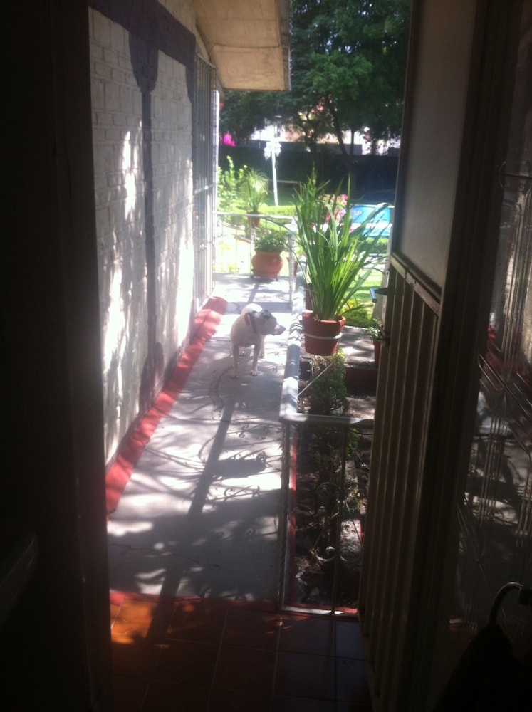 Double Room, 1 Double Bed, Refrigerator, Ground Floor photo 2