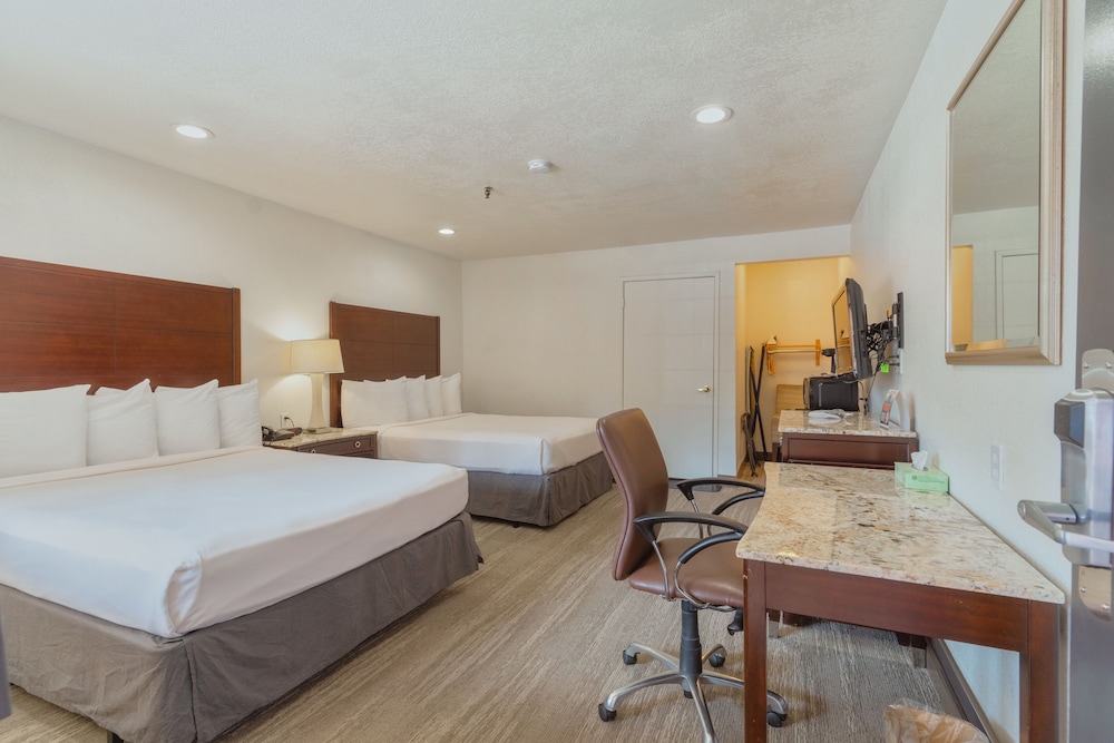 Accessible Double Queen Room photo 3