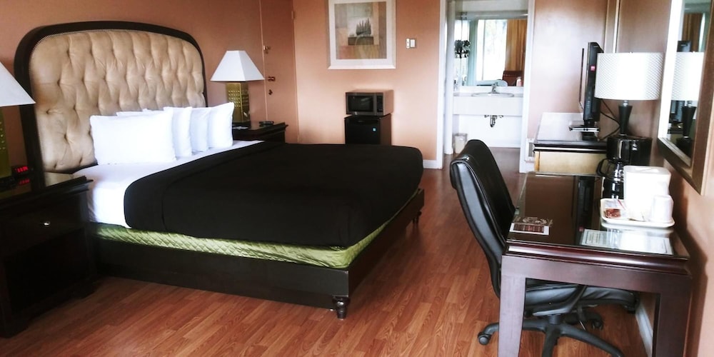 Standard Room, 1 King Bed, Smoking photo 1