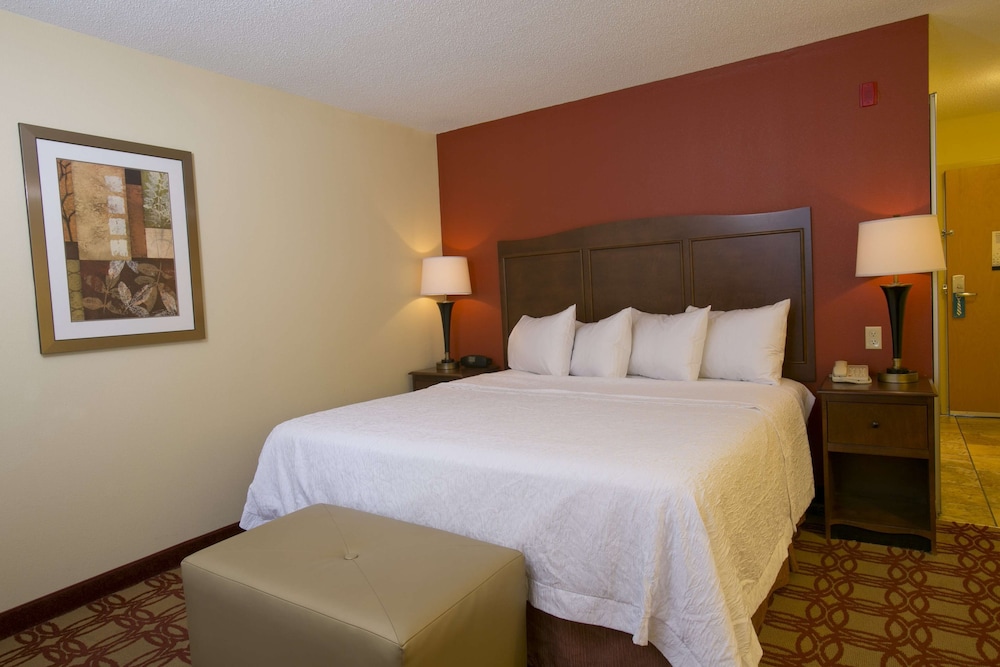 Room, 1 King Bed, Accessible (Hearing) - Photo 1