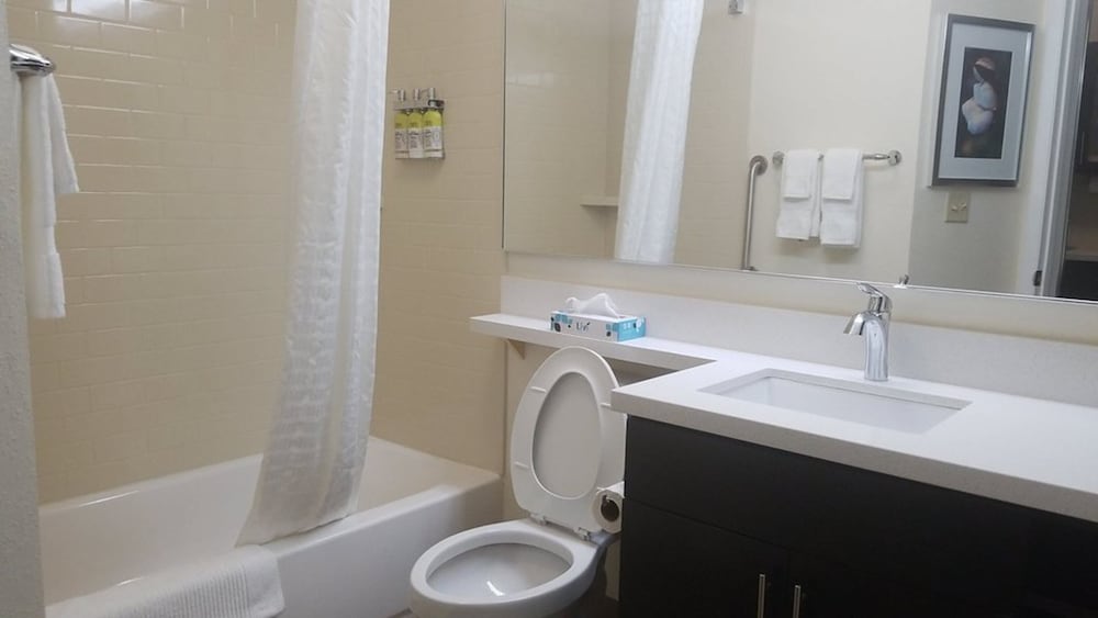 Suite, 1 Bedroom, Accessible (Comm, Mobil, Accessible Tub) - Photo 3