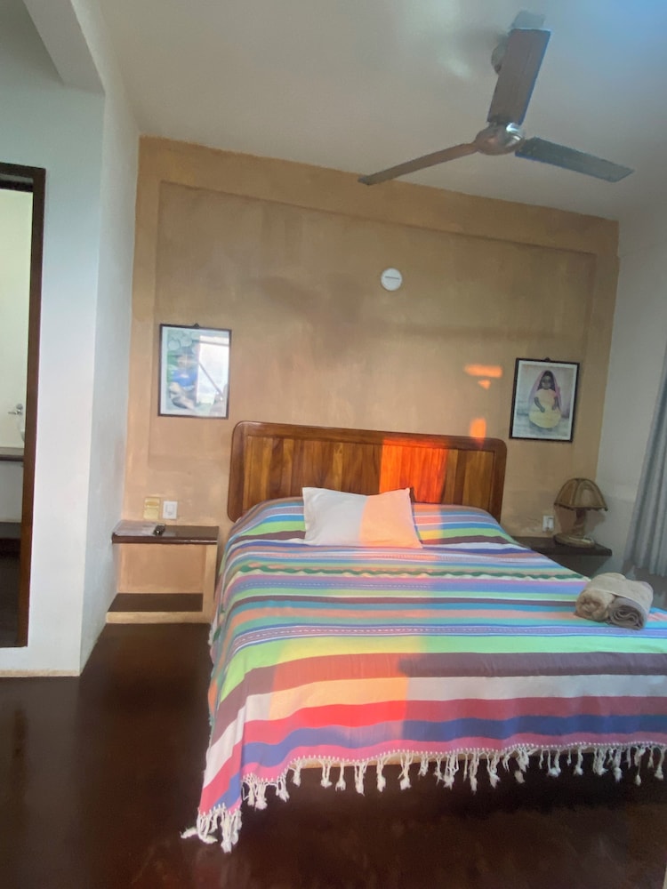 Basic Studio Suite, Kitchenette photo 3