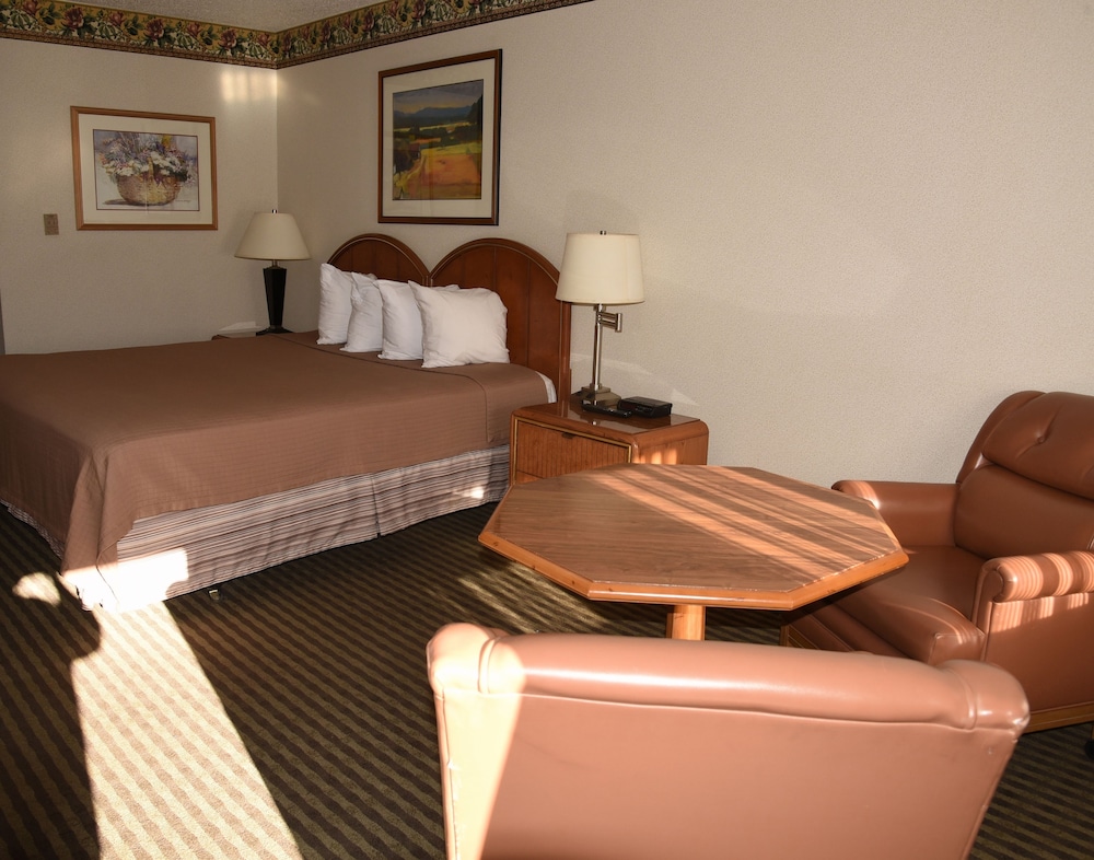 Business Room, 1 King Bed, Non Smoking (No Pets Allowed) photo 1