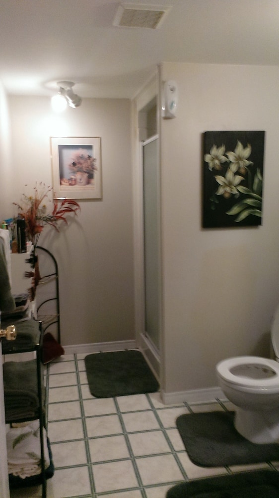 Bachelor Suite with Basement photo 1