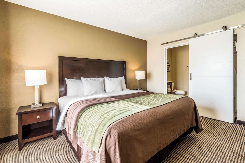 Standard Room, 1 King Bed, Non Smoking - Photo 4