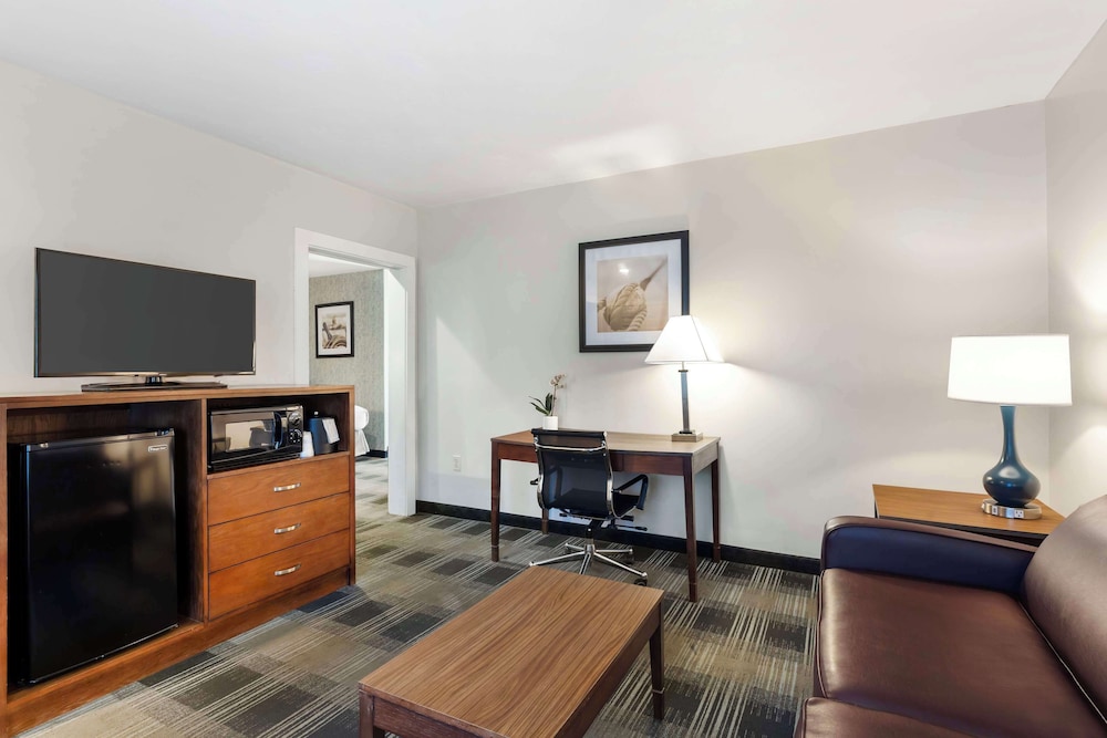 Suite, 2 Queen Beds, Non Smoking (Larger Room;with Sofabed) - Photo 2