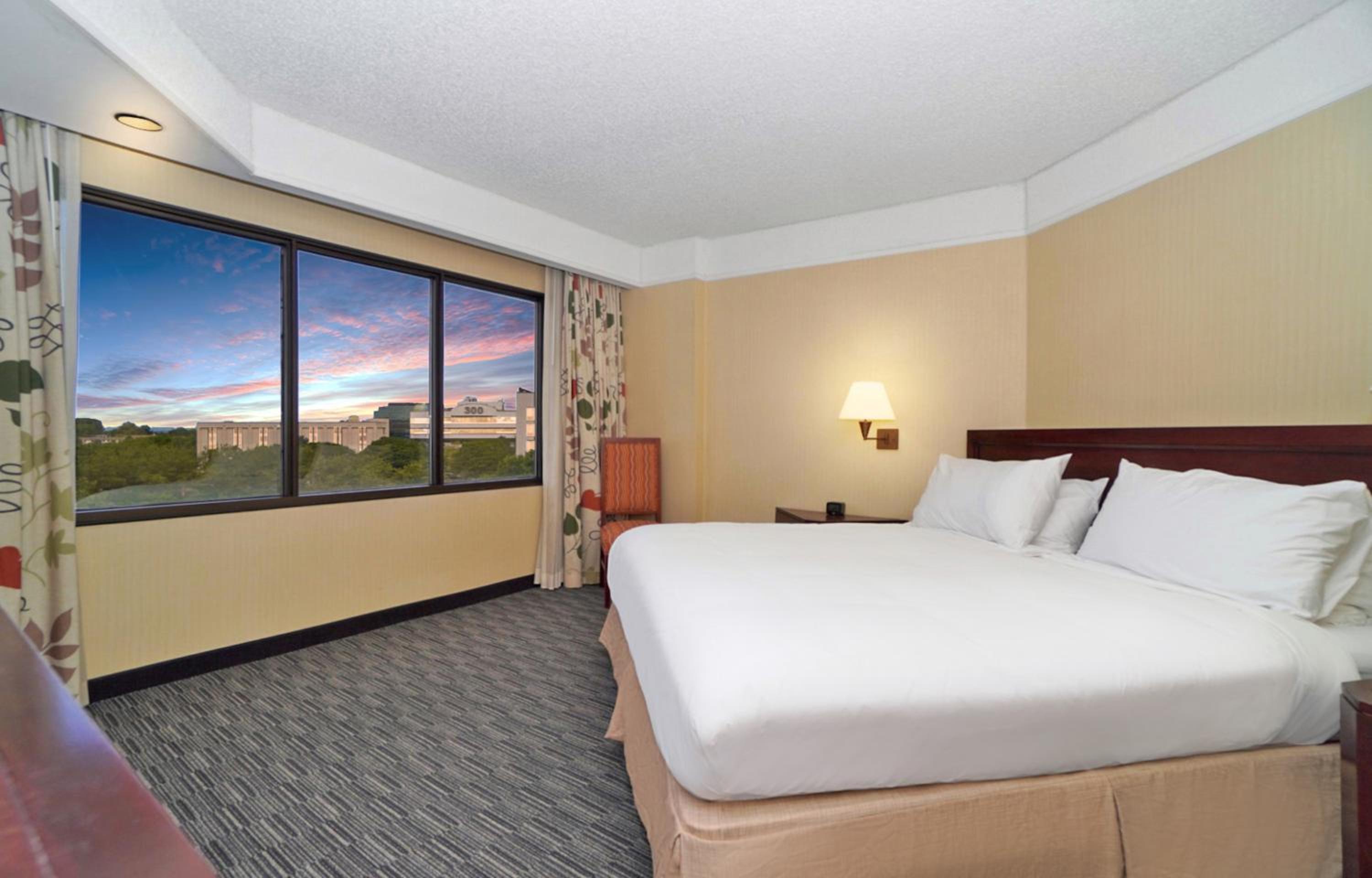 Two-Bedroom Suite - Photo 3