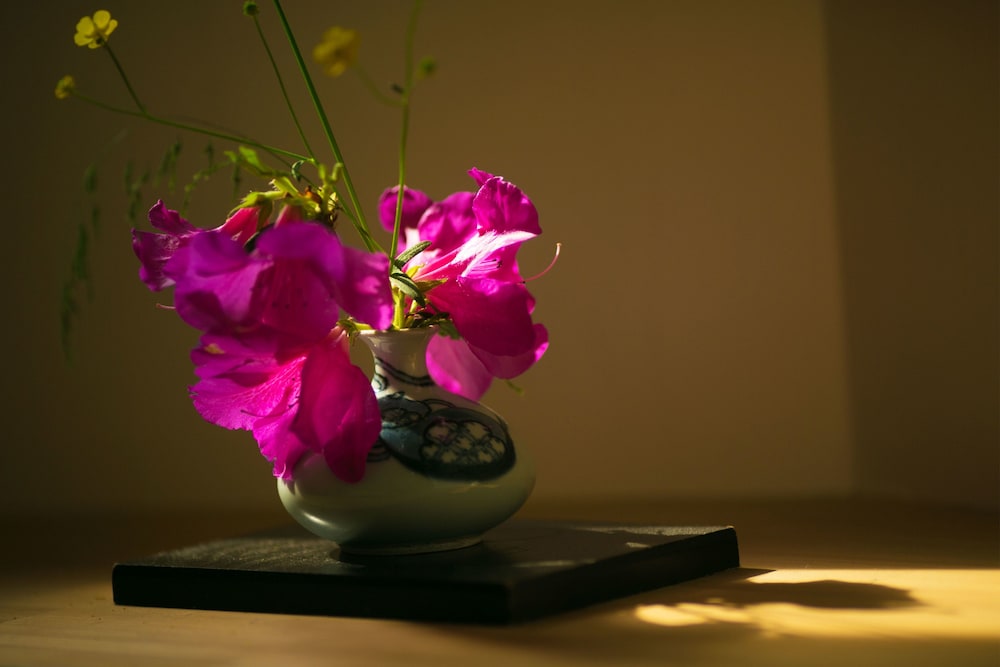 Japanese Style Room with Open Air Bath, KAJIKA photo 3