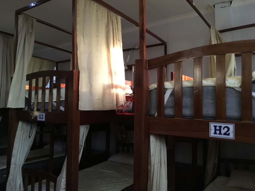Shared Dormitory photo 2