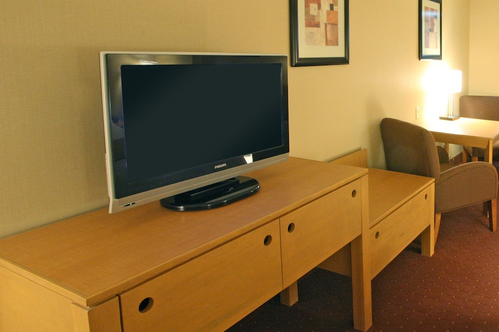 Suite, 1 Bedroom - Photo 4