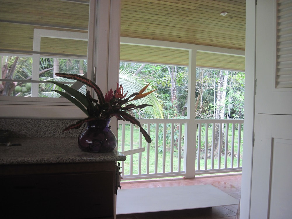 Family Apartment, Kitchen, Garden Area photo 2