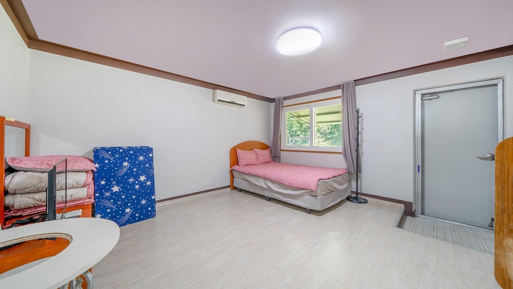 Basic Room, 1 Bedroom (Jindalrae(PET)) photo 1