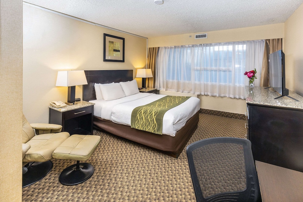 Standard Room, 1 Queen Bed, Non Smoking - Photo 4