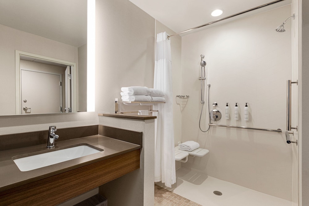 Standard Room, 1 King Bed (Mobility Accessible, Roll-in Shower) - Photo 4