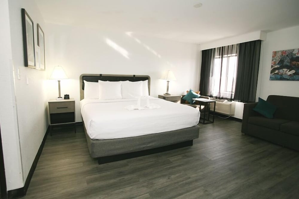 Superior Studio Suite, 1 King Bed, Non Smoking (Pet-Friendly) photo 1