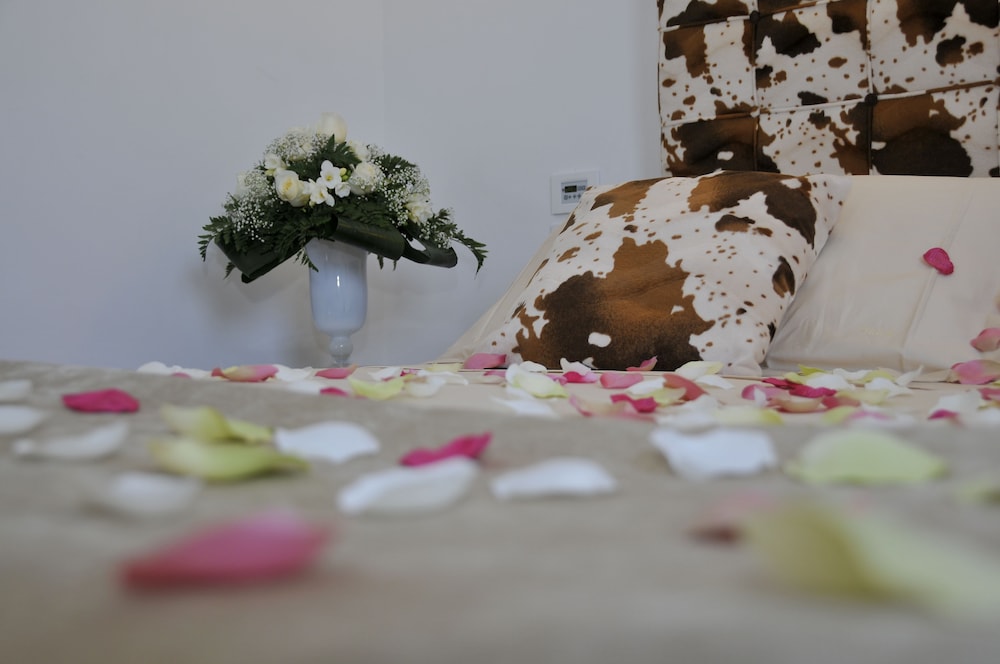 Studio Suite photo 2