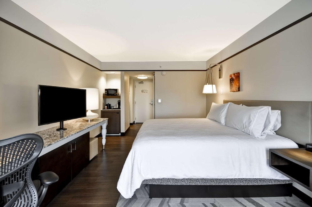 Premium Room, 1 King Bed, Accessible photo 3