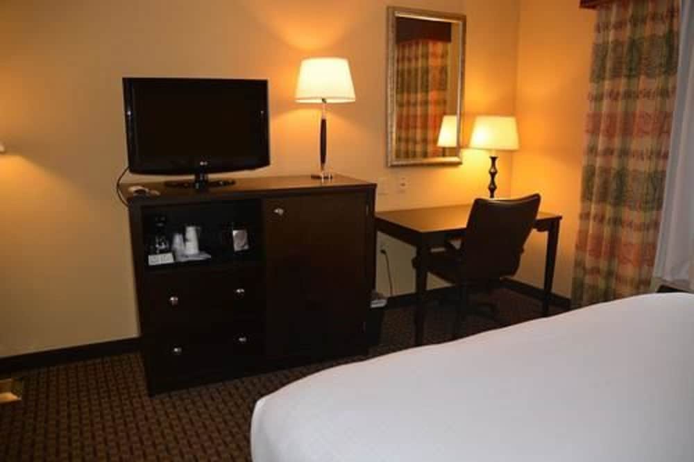 Suite, 1 Bedroom, Non Smoking photo 2