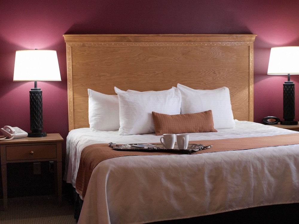 Suite, 1 King Bed, Non Smoking, Refrigerator & Microwave (Larger Room;With Sofabed) - Photo 1