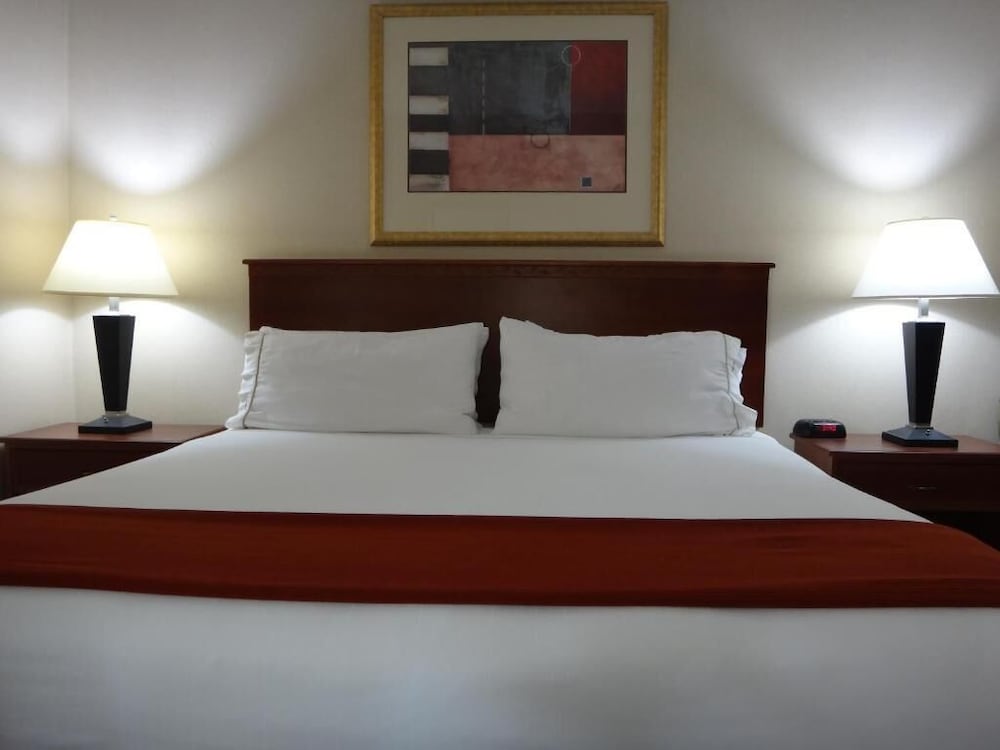 Deluxe Single Room photo 3