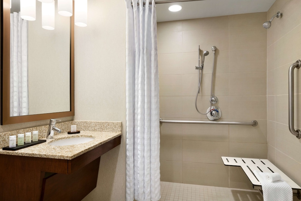 Suite, 1 King Bed, Accessible - Photo 6