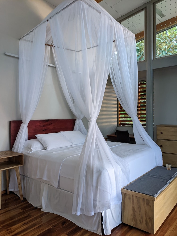 Canopy Suite photo 1
