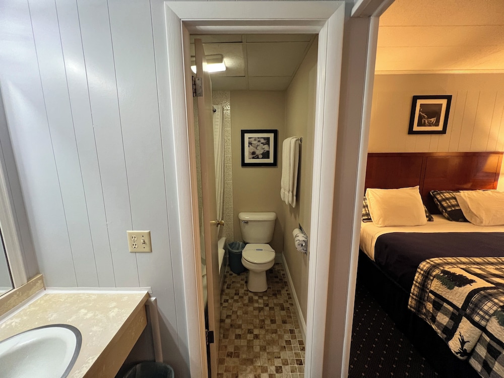 Double Room, 1 King Bed, Non Smoking, Pool View photo 3