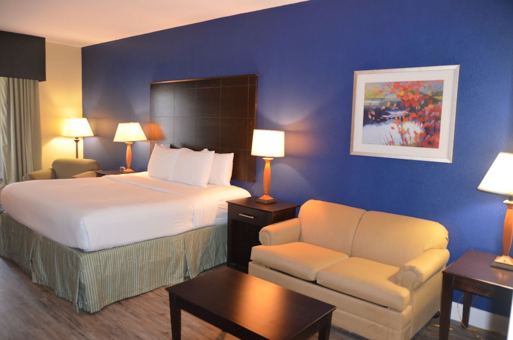 Suite, 1 King Bed - Photo 2