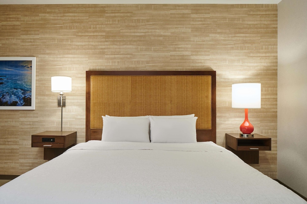 Room, 1 King Bed with Sofa bed, Accessible, Bathtub (Mobility & Hearing)