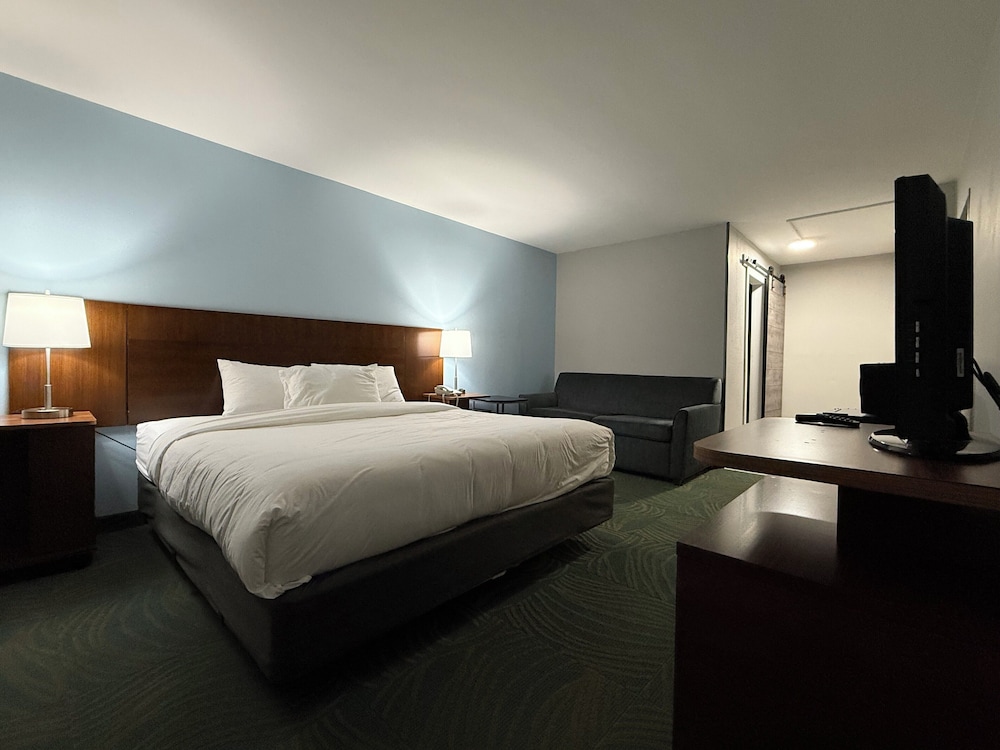 Deluxe Suite photo 1