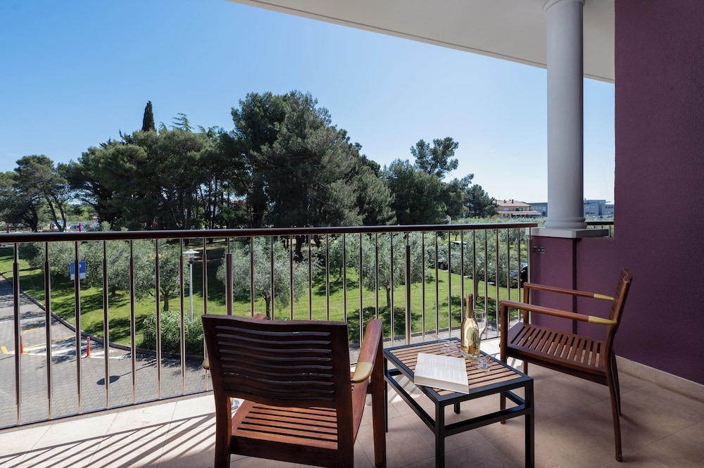 Superior Double Room, 1 King Bed, Balcony, Park View