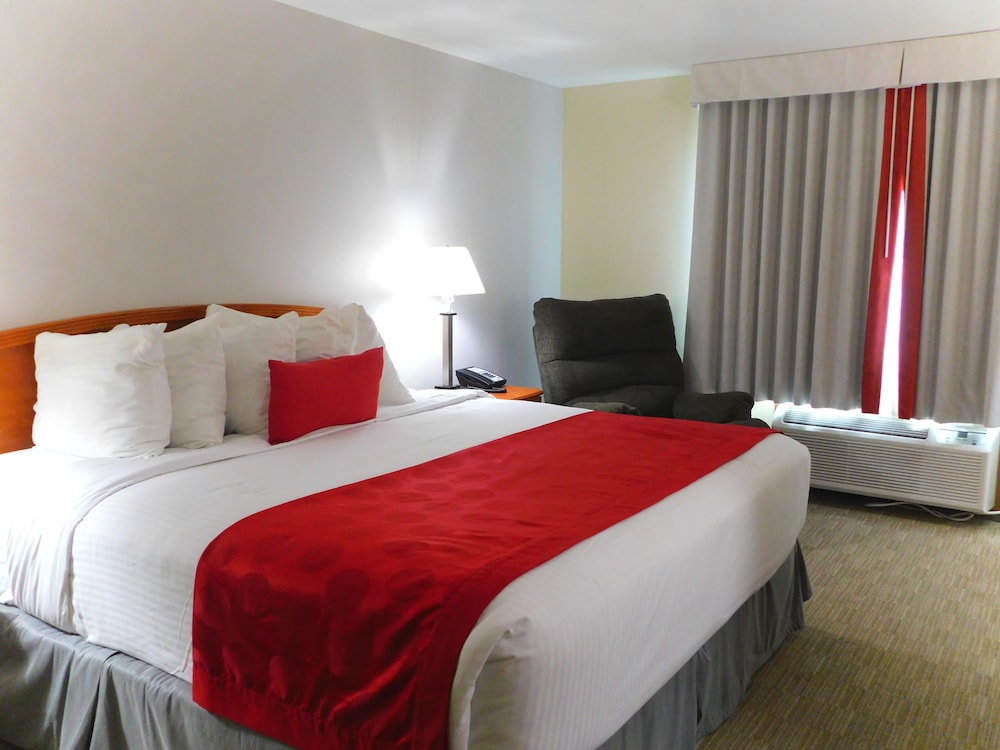 Deluxe Room, 1 King Bed, Non Smoking photo 1