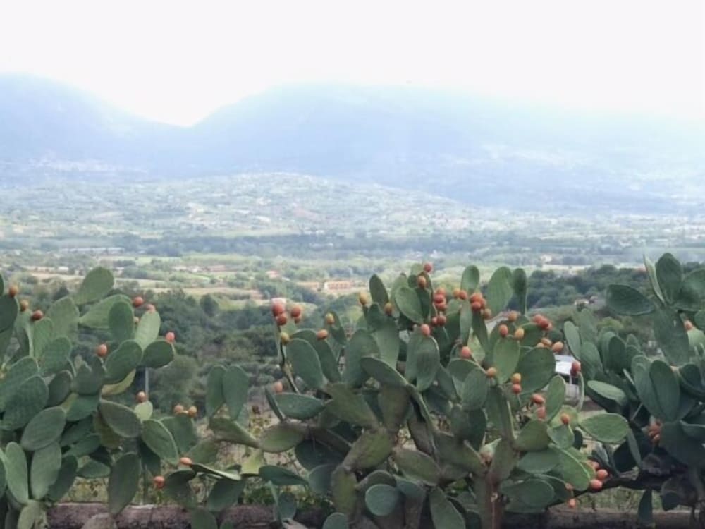 Villa, Garden View photo 3