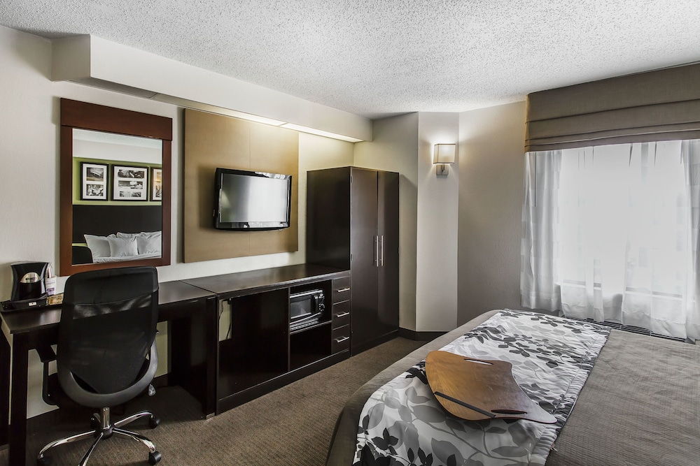 Standard Room, 1 King Bed, Non Smoking - Photo 3