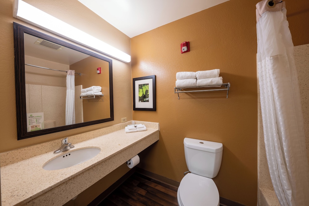 Basic Studio Suite photo 3