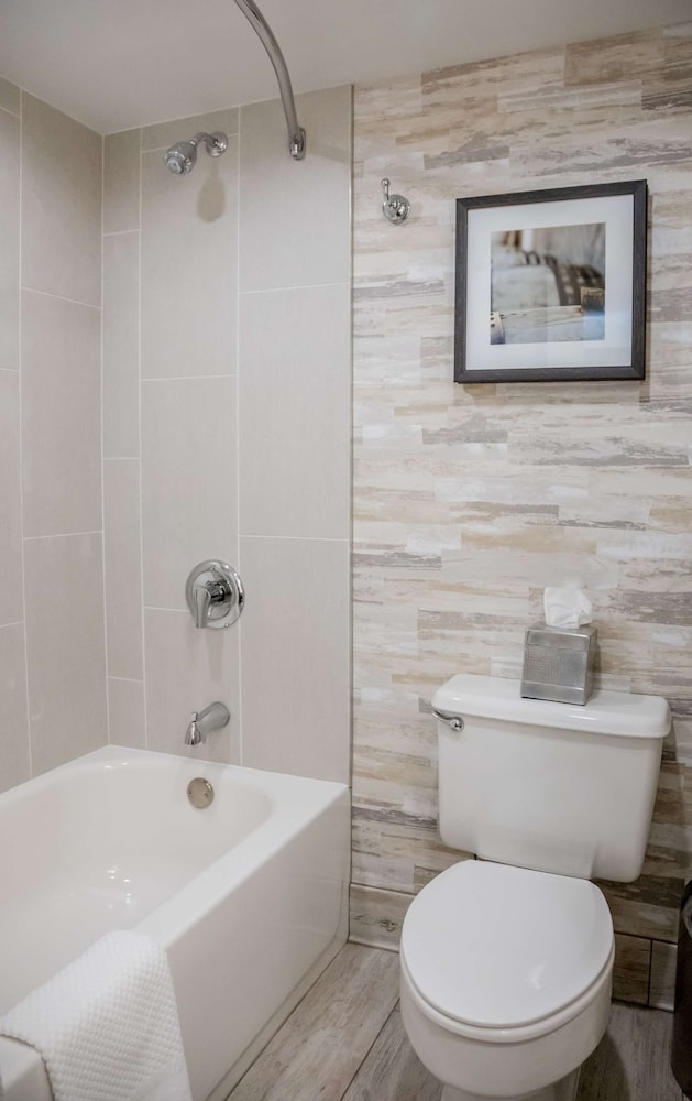 Suite, 1 Bedroom (1 King Bed With Sofa Bed) photo 2