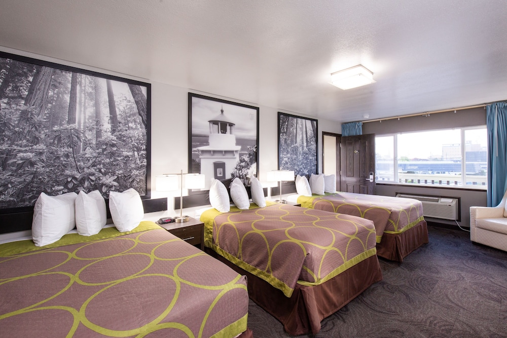 Room, Multiple Beds, Non Smoking photo 2