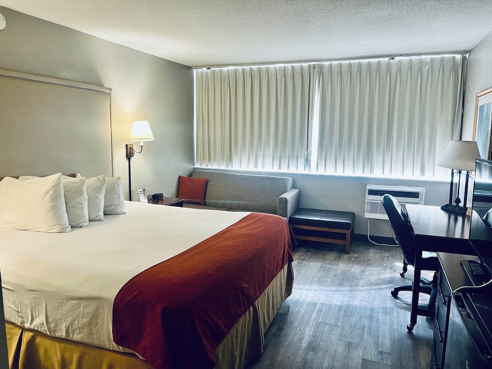 Room, 1 King Bed, Non Smoking photo 1