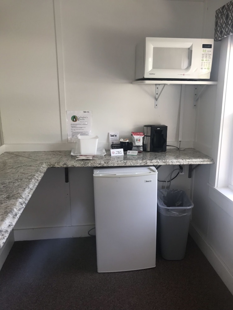 Economy Cabin, 1 Queen Bed, Non Smoking, Refrigerator & Microwave photo 3