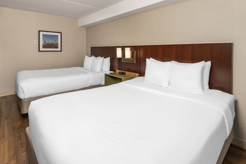 Room, 2 Queen Beds, Non Smoking (Pet Friendly) - Photo 10